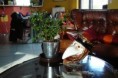 /album/galerie-de-photos/le-theatre-des-plantes-jpg/